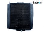 Radiateur Gilera Fuoco 500 2007-2012 (653468), Motoren, Onderdelen | Overige, Verzenden, Gebruikt