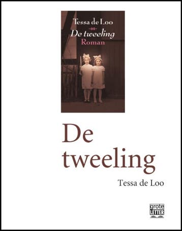 De tweeling - Tessa de Loo 9789029584494, Boeken, Verzenden, Gelezen, Tessa de Loo