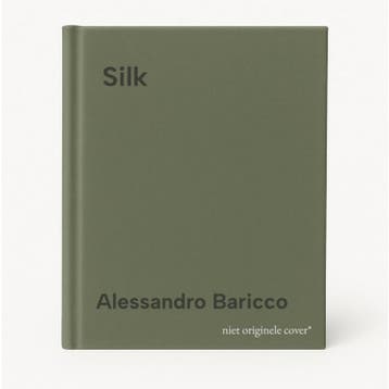 Silk - Alessandro Baricco 9781786896421, Boeken, Verzenden, Zo goed als nieuw, Alessandro Baricco