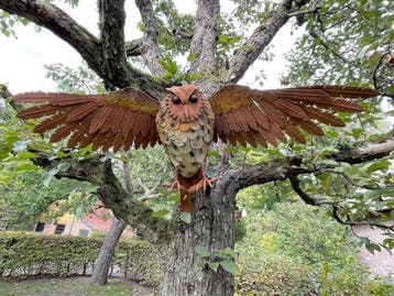 sculptuur, Schitterende uil - Oehoe - Spanwijdte 96 cm -, Antiek en Kunst