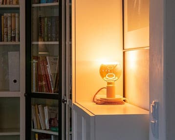 Segula LED Floating Globe G125 E27 6W 220lm 1900K smokey, Ophalen of Verzenden, Nieuw