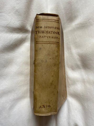 Jan Jonston - Thaumatographia naturalis, in classes decem