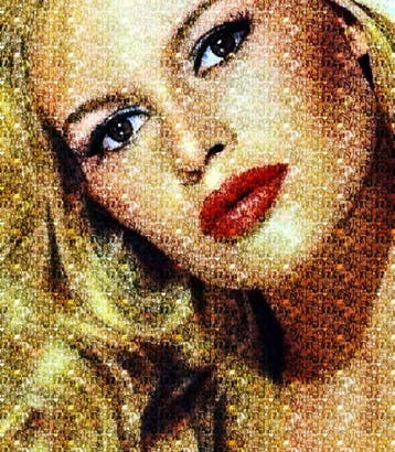 Una donna come me - Brigitte Bardot, Nieuw