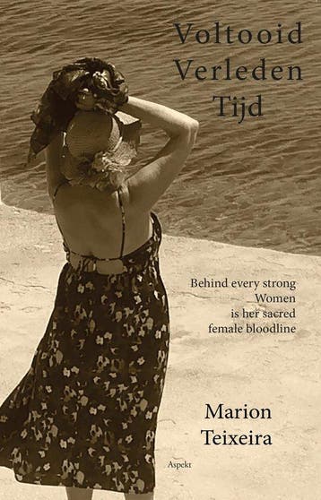 Voltooid verleden tijd - Marion Teixeira 9789464629675, Boeken, Verzenden, Gelezen, Marion Teixeira