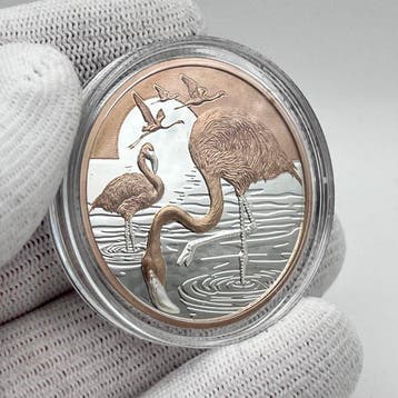 Niue. 1 Dollar 2025 – Flamingos – 1 oz Silver .999 – Proof –