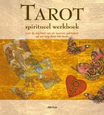 Spiritueel werkboek - Tarot - Nevill Drury 9789044708479, Verzenden, Gelezen, Nevill Drury