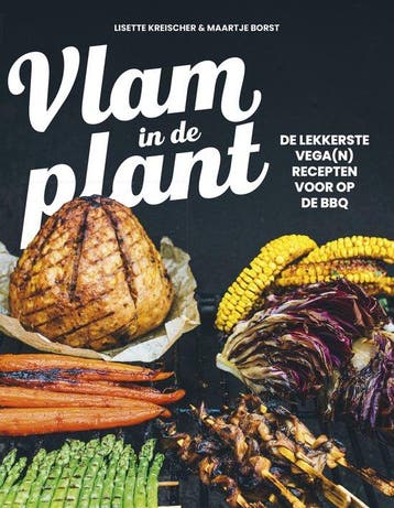 9789043931151 Vlam in de plant Maartje Borst, Verzenden, Nieuw, Maartje Borst