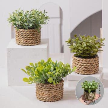 Kunstplant Eucalyptus Gras in Geweven Pot - Groen, 11cm, Verzenden, Nieuw in verpakking