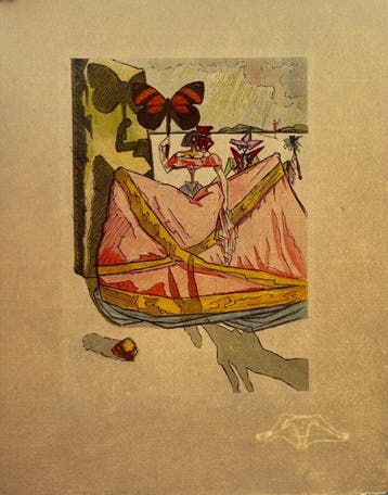 Salvador Dali (1904-1989) - Le Tricorne — Conjunto de 17