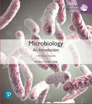 Microbiology An Introduction 13th Global Editi 9781292276380, Zo goed als nieuw
