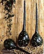 Dipper Lagenaria fleskalebas 50 zaden, Ophalen of Verzenden, Nieuw