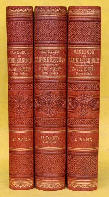 Dr. Julius Scheff - Handbuch der Zahnheilkunde - 1909