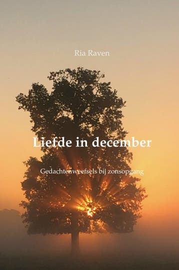 Liefde In December | Ria Raven | Nieuw, Ophalen of Verzenden, Nieuw, Ria Raven