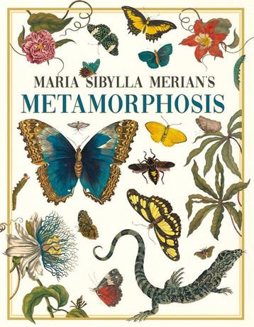 9781528773423 Maria Sibylla Merians Metamorphosis, Verzenden, Nieuw, Maria Sibylla Merian