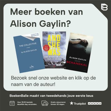 Blijf bij me - Alison Gaylin 9789022584033, Verzenden, Gelezen, Alison Gaylin