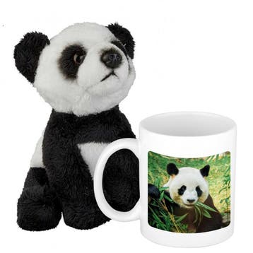 Cadeauset kind - panda knuffel - 15 cm - drinkbeker - 300, Verzenden, Nieuw