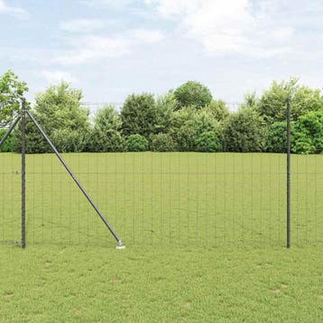vidaXL Euro-hek met grondpennen 10 x 1,6 m PVC-Coated Staal, Verzenden, Nieuw, IJzer