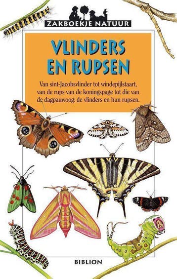 Vlinders En Rupsen - Rogez, Verzenden, Gelezen