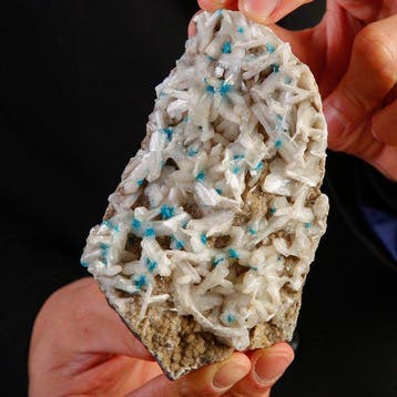 Levendig blauwe cavansiet op stilbiet uit India - Extint