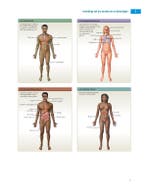 Anatomie en fysiologie een inleiding 9789043035873, Boeken, Studieboeken en Cursussen, Zo goed als nieuw