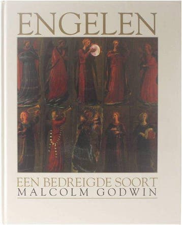 ENGELEN - M. Godwin 9789059470439, Verzenden, Gelezen, M. Godwin