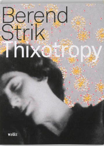 Thixotropy - B. Strik 9789078088271, Verzenden, Gelezen, B. Strik