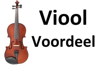 1/2 Viool  Massief EBBEN !!  -   Voordeel Prijs, 1/2-viool, Ophalen of Verzenden, Met koffer, Viool