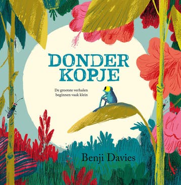 Donderkopje - Benji Davies 9789024583461, Boeken, Verzenden, Zo goed als nieuw, Benji Davies