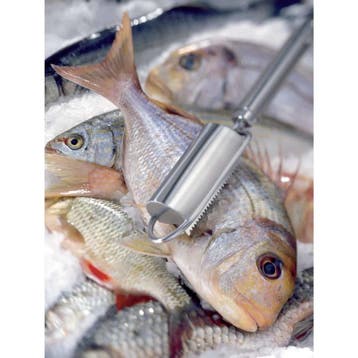 Triangle Professionele Visontschubber – 27 cm – Veelzijd, Nieuw, Ophalen of Verzenden, Rvs of Chroom, Vaatwasserbestendig