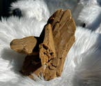 woestijnroos Ruw - Hoogte: 20 cm - Breedte: 16 cm- 1064 g -