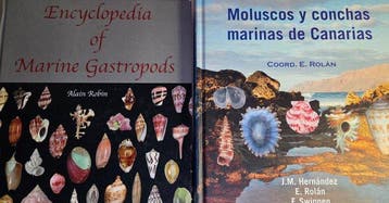 J.M. Hernández; a.o. - Lot with 2 books Malacologia -