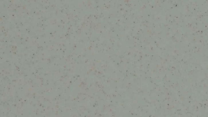 Eurocol 350 LiquidDesign Ashes, Doe-het-zelf en Verbouw, Overige Doe-het-zelf en Verbouw