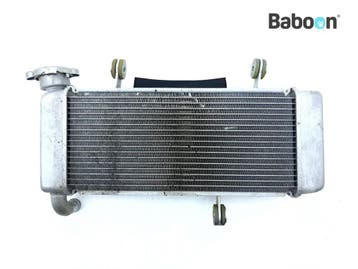 Radiateur Kawasaki Ninja 125 2021-2025 (BX125B), Verzenden, Gebruikt