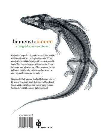 Binnenstebinnen 9789025767266 Arie van t Riet, Verzenden, Gelezen, Arie van 't Riet
