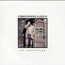 cd - Chris Wood - Albion, Cd's en Dvd's, Cd's | Overige Cd's, Zo goed als nieuw, Verzenden