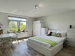 Studio Oranjeplein in Maastricht, Overige soorten, Limburg