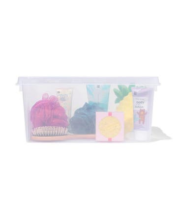 HEMA Opbergbox 14L Madrid transparant 40x30x19, Verzenden, Nieuw