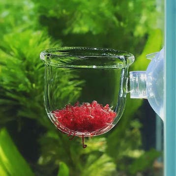 Aquarium Plantenbakje met Zuignap - Glas/Acryl Voederbakje &, Verzenden, Nieuw