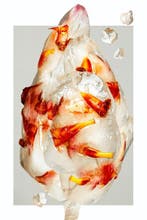 Elena Paraskeva - Cryoflora #1