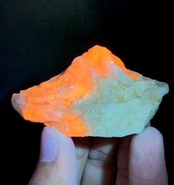 Rijk fluorescerend paarse hackmanietmonster dat op een boot