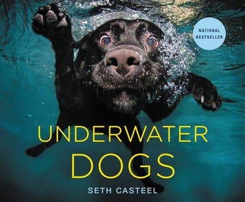 Underwater Dogs - Seth Casteel 9780316227704, Verzenden, Zo goed als nieuw, Seth Casteel
