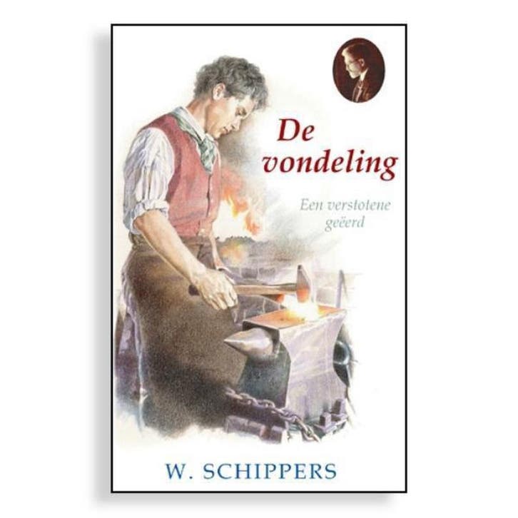 De vondeling 9789461150257 Willem Schippers, Boeken, Romans, Zo goed als nieuw, Verzenden