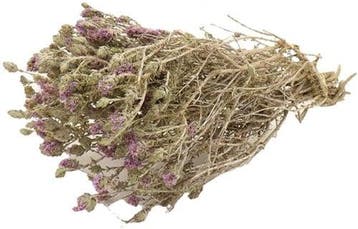 Menthe Polei droogbloemen in hoes bundel 70 gram, Ophalen of Verzenden, Nieuw