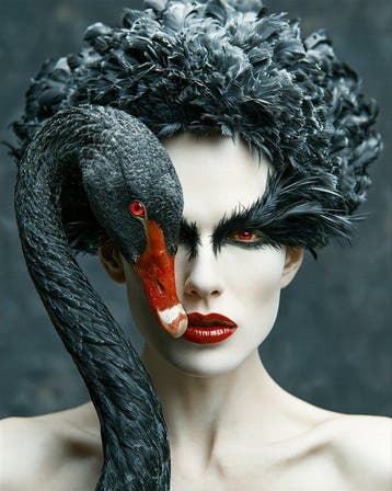 Aiana Roz - Black Swan: Ethereal Duality - Fine Art