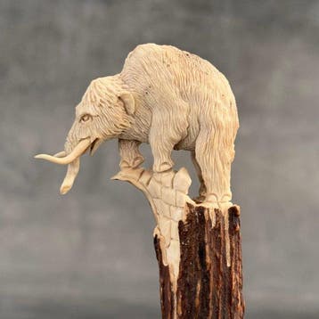 Snijwerk, NO RESERVE PRICE - Stunning Mammoth carving from