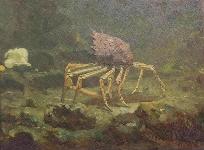 Gerrit Willem Dijsselhof (1866-1924) - Grote spinkrab, Antiek en Kunst, Kunst | Schilderijen | Klassiek