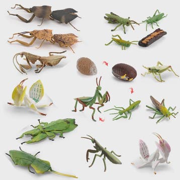 Realistische Insecten Model Figuren: Bidsprinkhaan, Bladwesp