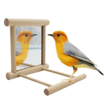 Zitstok Spiegel Vogelkooi, Verzenden, Nieuw