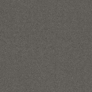 Floorlife Sweep Deurmat Donkergrijs 200 cm breed - 8.5 mm, Tuin en Terras, Ophalen of Verzenden, Nieuw