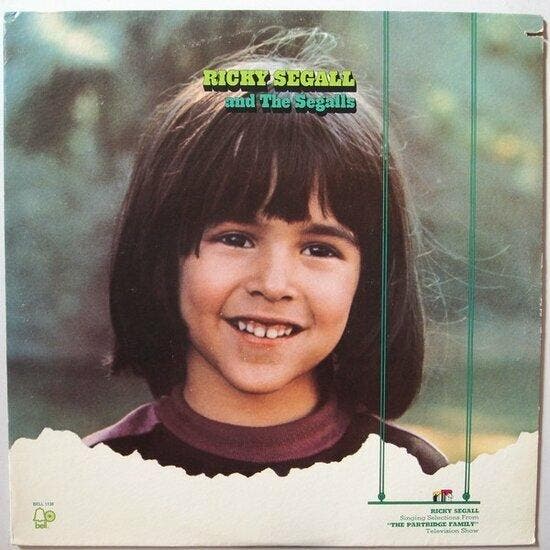 Ricky Segall and The Segalls - Ricky Segall and The Segal..., Cd's en Dvd's, Vinyl | Pop, Verzenden